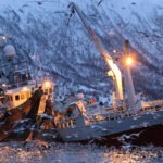 Fishing,Boat,Fishing,For,Herrings,In,Kaldfjord,,Tromso,,Norway,,Atlantic